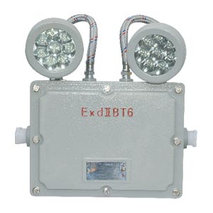 LED防爆应急灯 BAJ52